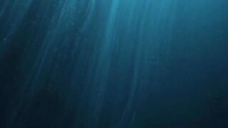 Facts About the Ocean That Will Scare You