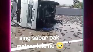 Sebuah pikap pengangkut lele terguling di Tol Ngawi-Kertosono KM 619, Desa Sidorejo, Madiun