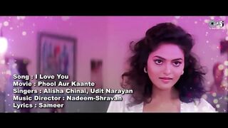 I Love You - Lyrical  Phool Aur Kaante  Ajay Devgn Madho  Alisha Chinai Udit Narayan  90s Song 2