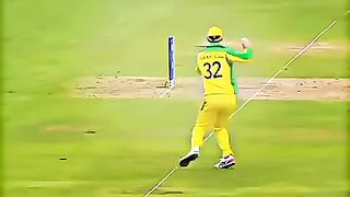 Cricket news 132
