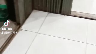 Kuda ku