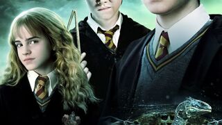 Harry Potter and the chamber of secrets in Hindi