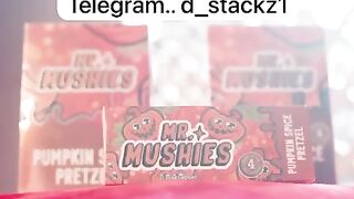 Mr mushies