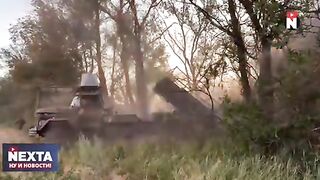 НЕКСТА 37