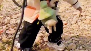 prank snake