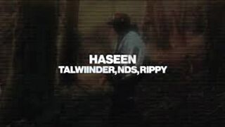 Haseen (Slowed  Reverb) - Talwiinder, NDS, Rippy Grewal