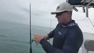 Monster Fish 2 2