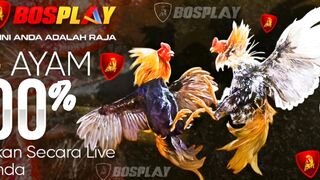 DAFTAR BOSPLAY AGEN SABUNG AYAM ONLINE RESMI AMAN DAN TERPERCAYA 60