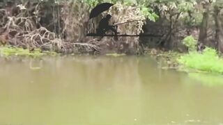 mancing ikan  mancing monyed   mancing fyp reels