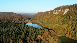 Scenery With Lake and Forest in Autumn