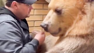 A Man and His Tame Bear Together!!
