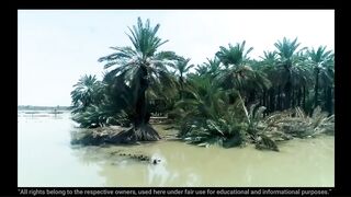 نوح کا سبق الہی فیصلہ سے کوئی بچاؤ نہیں