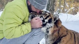 Incredible Bond Between a Man and a Tiger in the Snowy Forest