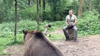 Friendship! A Man and a Tame Bear in the Forest