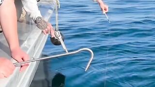 Epic Catch! Giant Halibut Taken Down and Hauled Aboard
