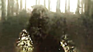 Kong Explores Skull Island  Godzilla  Scene Explained