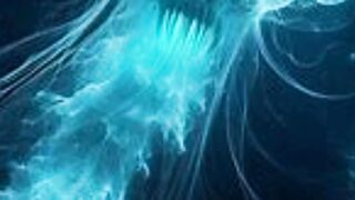 The Immortal Jellyfish Natures Real-Life Fountain of Youth