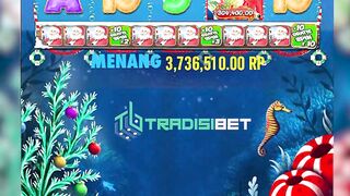 tradisibet 142