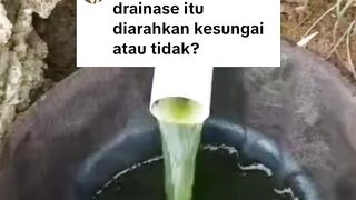 Manfaat air BEKAS budidaya ikan leleJangan dibuang percuma
