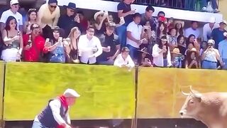 Dangerous Bull Attack Bull Fighting Festival