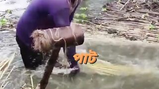 See how jute is cleaned