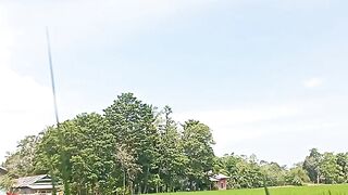 Pemandangan 35