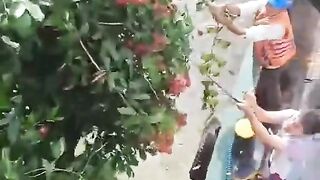 Kalau gratis pada semngat semua wkwkwk