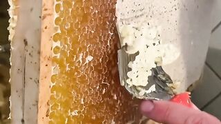 Alat canggih panen madu, Uncapping Otomatis