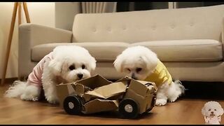 Broken box supercar