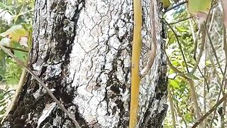 Pemandangan alam 18