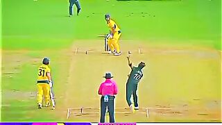 Cricket news 145