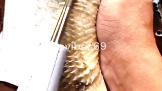 How the Electric Poultry Feather Plucker Works?