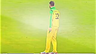 Cricket news 152