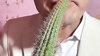 Man Eating Cactus