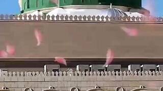 زیارت نبی کریم صلی اللہ علیہ وسلم بحالت بیداری 2