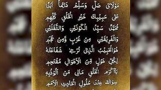 زیارت نبی کریم صلی اللہ علیہ وسلم بحالت بیداری 3