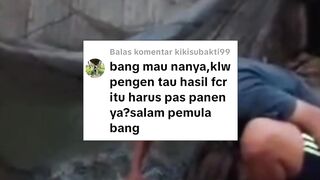 Untuk mengetahui FCR itu tidak harus nunggu PANEN Begini caranya