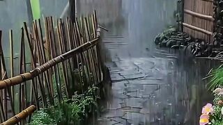 Barulho de Chuva Perfeito Para Dormir Profundamente!