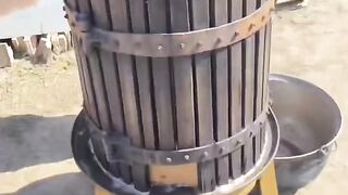 ГРОЗДОБЕР В БЕСАРАБИЯ 3