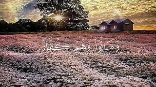 Tilawat