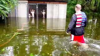 30 Animals That Asked People For Help AND Kindness !