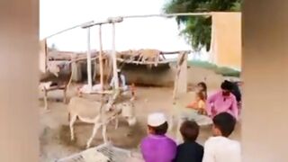 Pakistani artgul gazi
