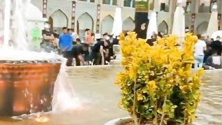 Amam E Raza Roza