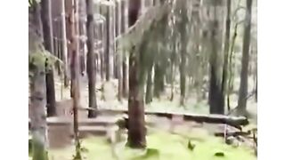 Hilarious funny hilarious ???? #funny #funnyvideos #haha #animals #cat #dog #pet #foryou #viral
