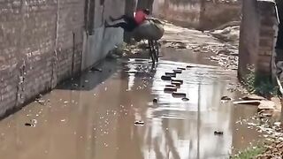 Man and his cycle