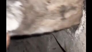 உன் இசை நயத்துல தீய வைக்க