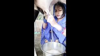 ایک عورت گائے سے دودھ نکال رہی ہے۔