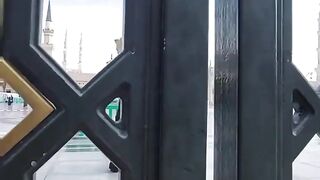 #madina sharef