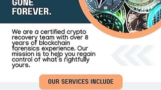 CONNECT WITH A GENUINE ASSETS RECOVERY EXPERT YOU CAN TRUST DIGITAL LIGHT SOLUTION