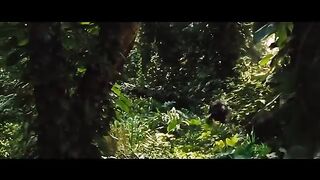 Complete PLANET OF THE APES Timeline